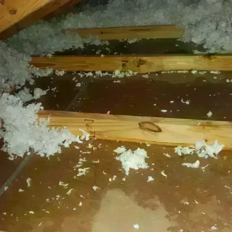 Attic Water Damage in Weston Lakes, TX